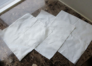 Customized Woven Polyester Industrial Filter Bag for Juice Press Filtration
